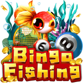Bingo Fishing on JL 66