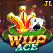 Slot Wild Ace JL 66
